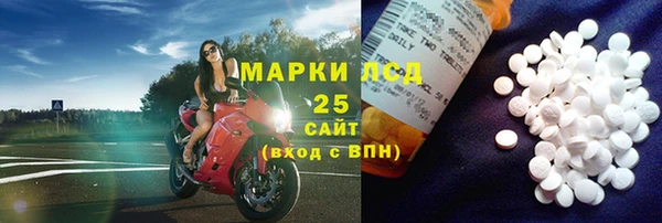 крисы Богородицк