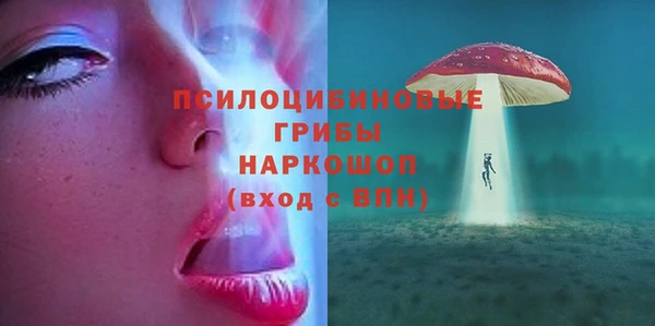 молекула духа Бугульма