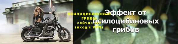 прущий лед Бронницы