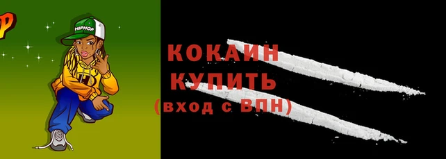 крисы Богородицк