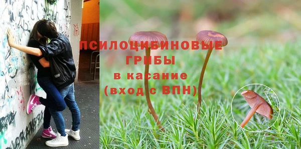 молекула духа Бугульма