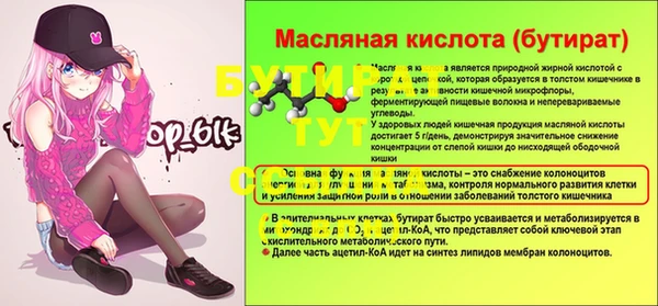 крисы Богородицк