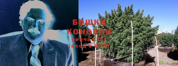 прущий лед Бронницы