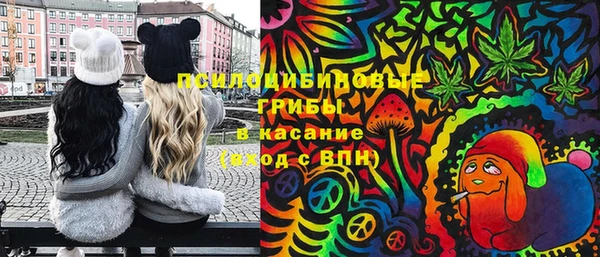молекула духа Бугульма