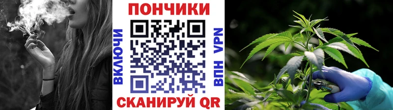 хочу   Комсомольск  Конопля ГИДРОПОН 